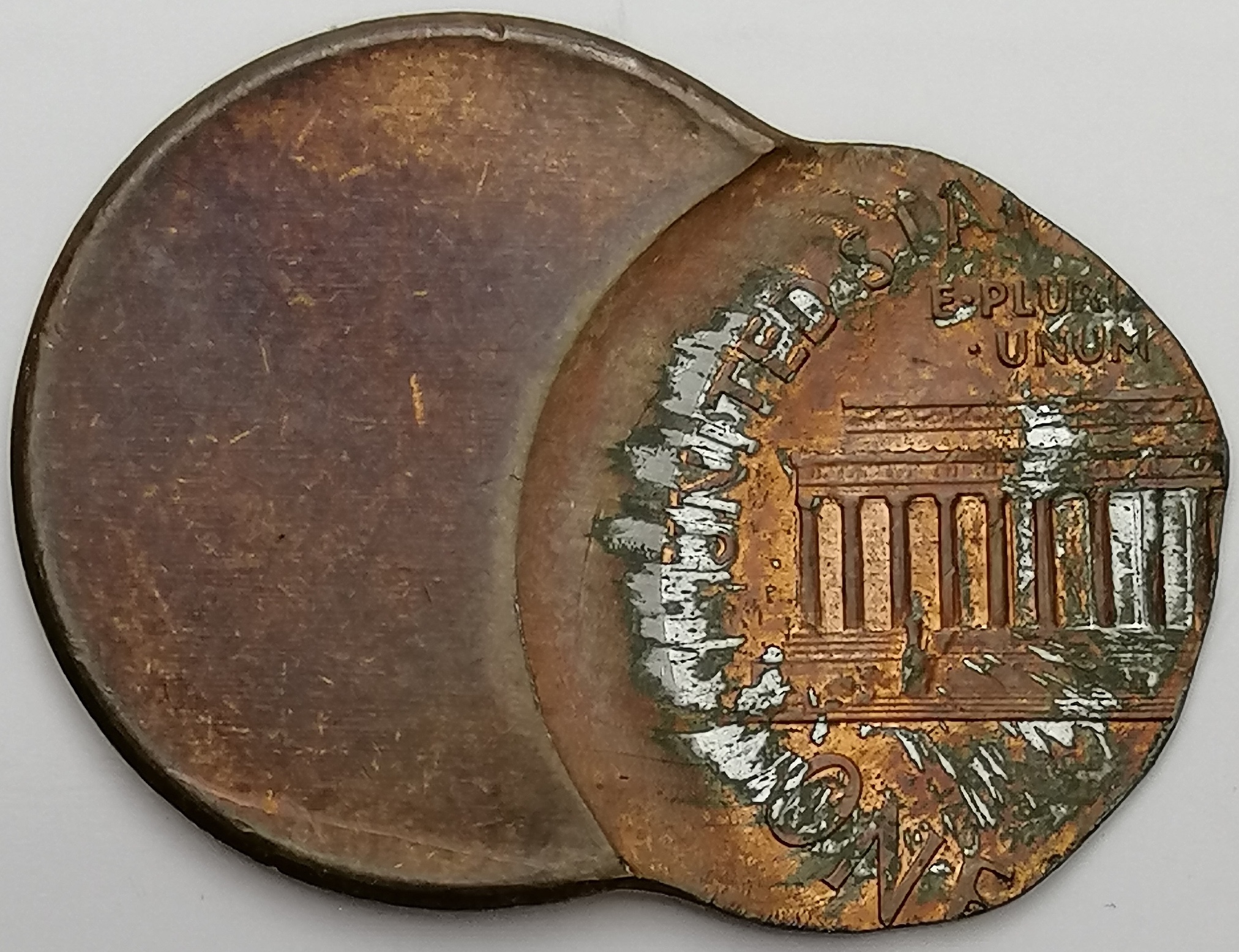 sena coins