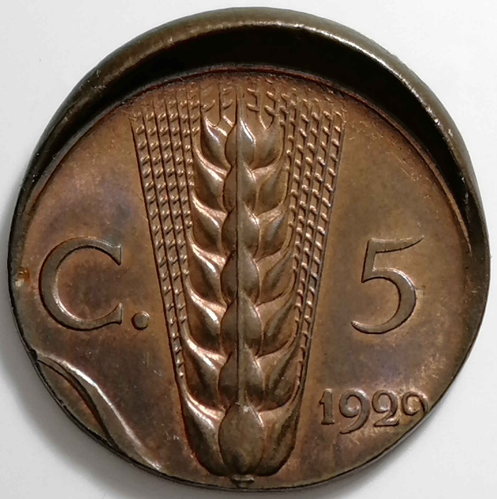 sena coins