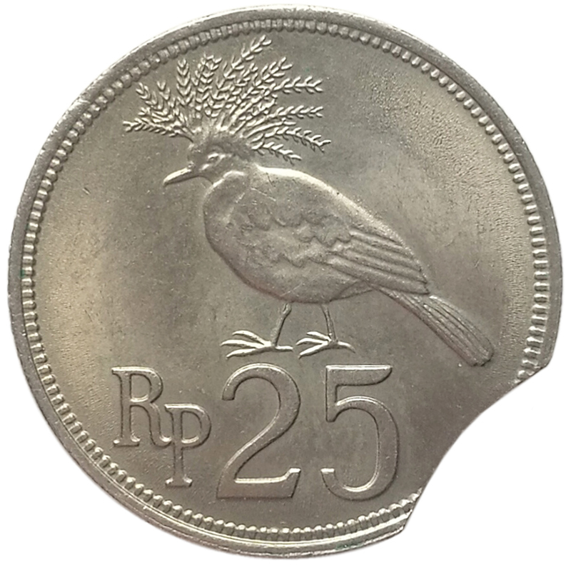 sena coins