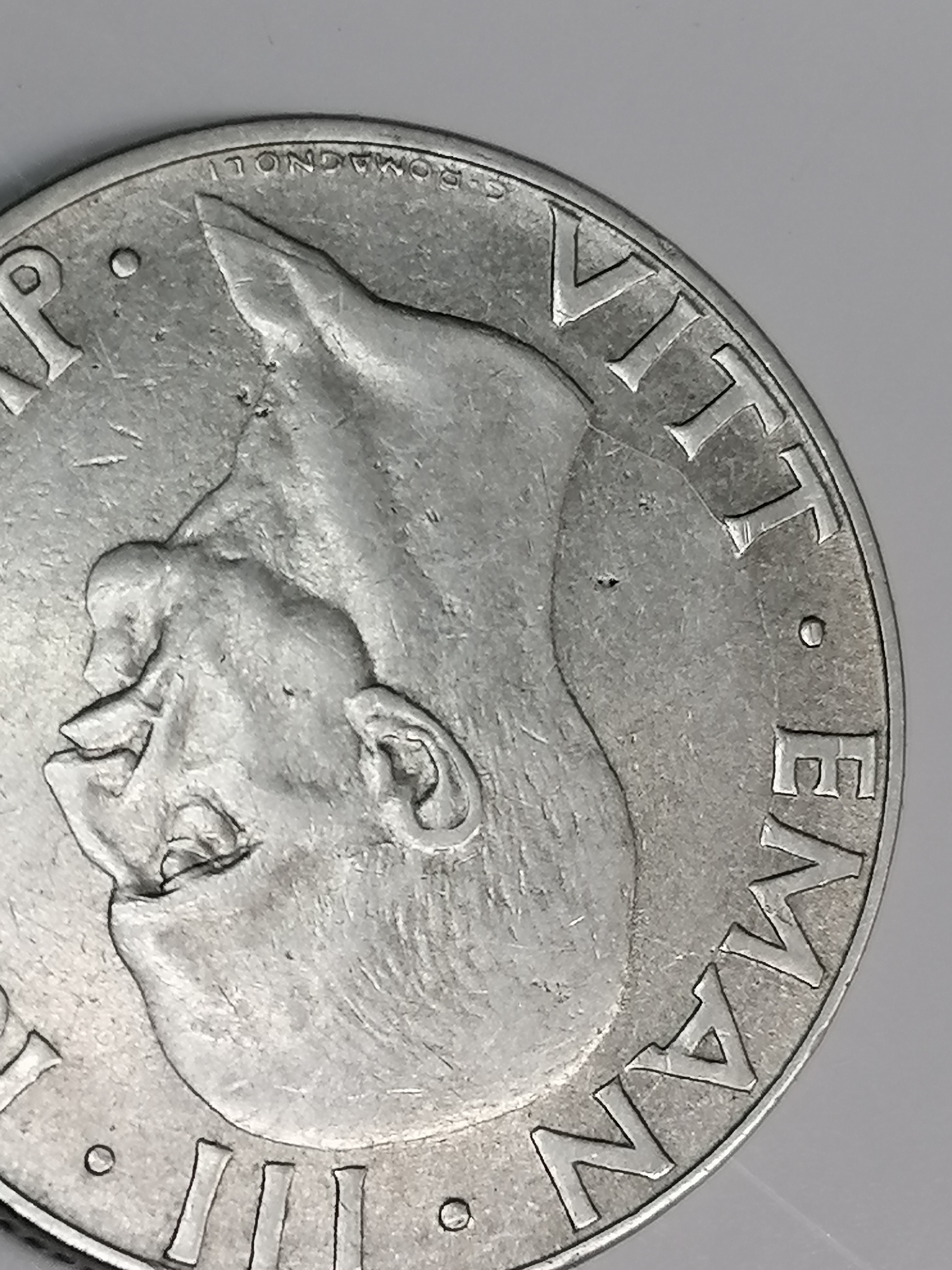 sena coins
