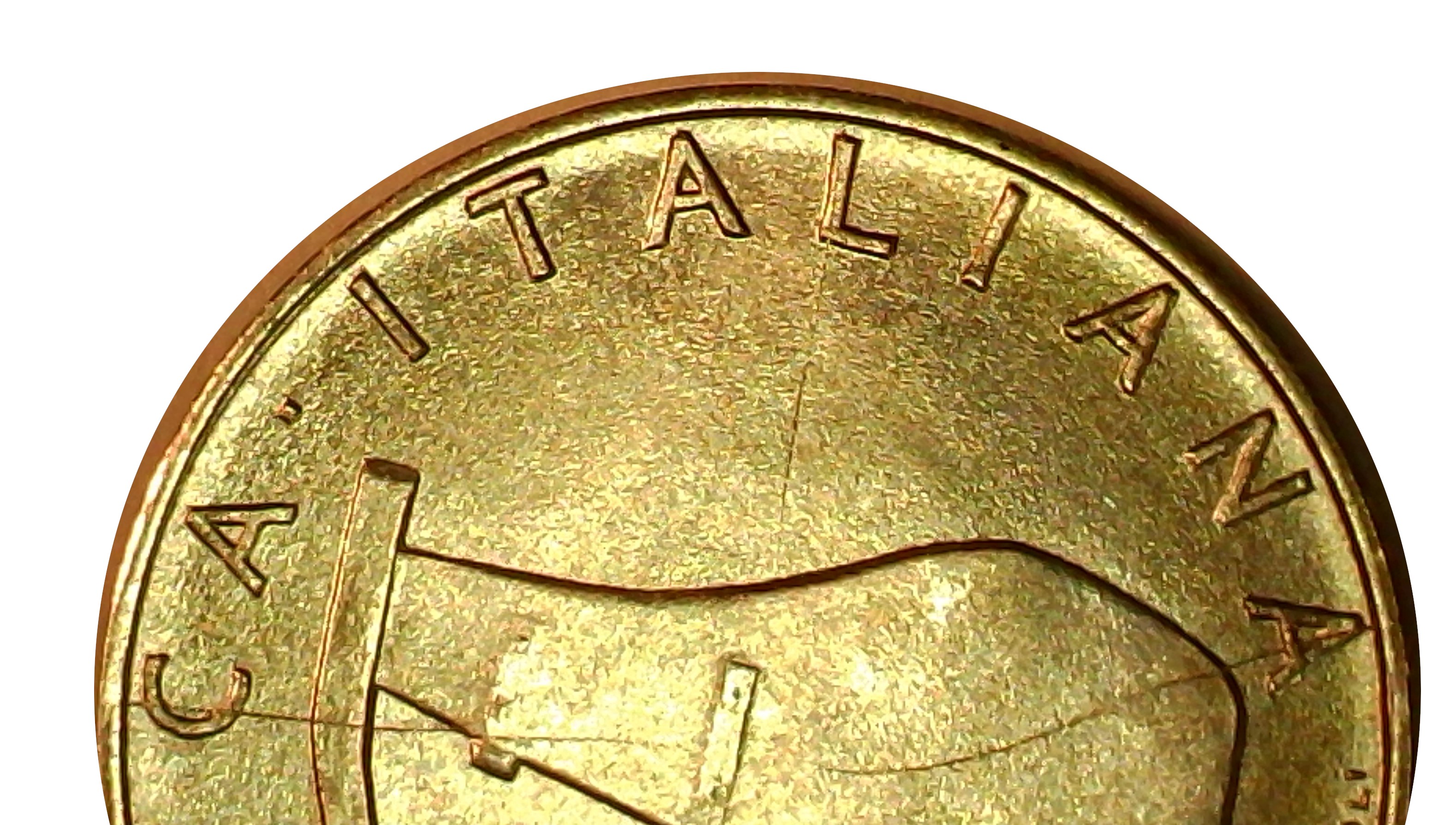 sena coins