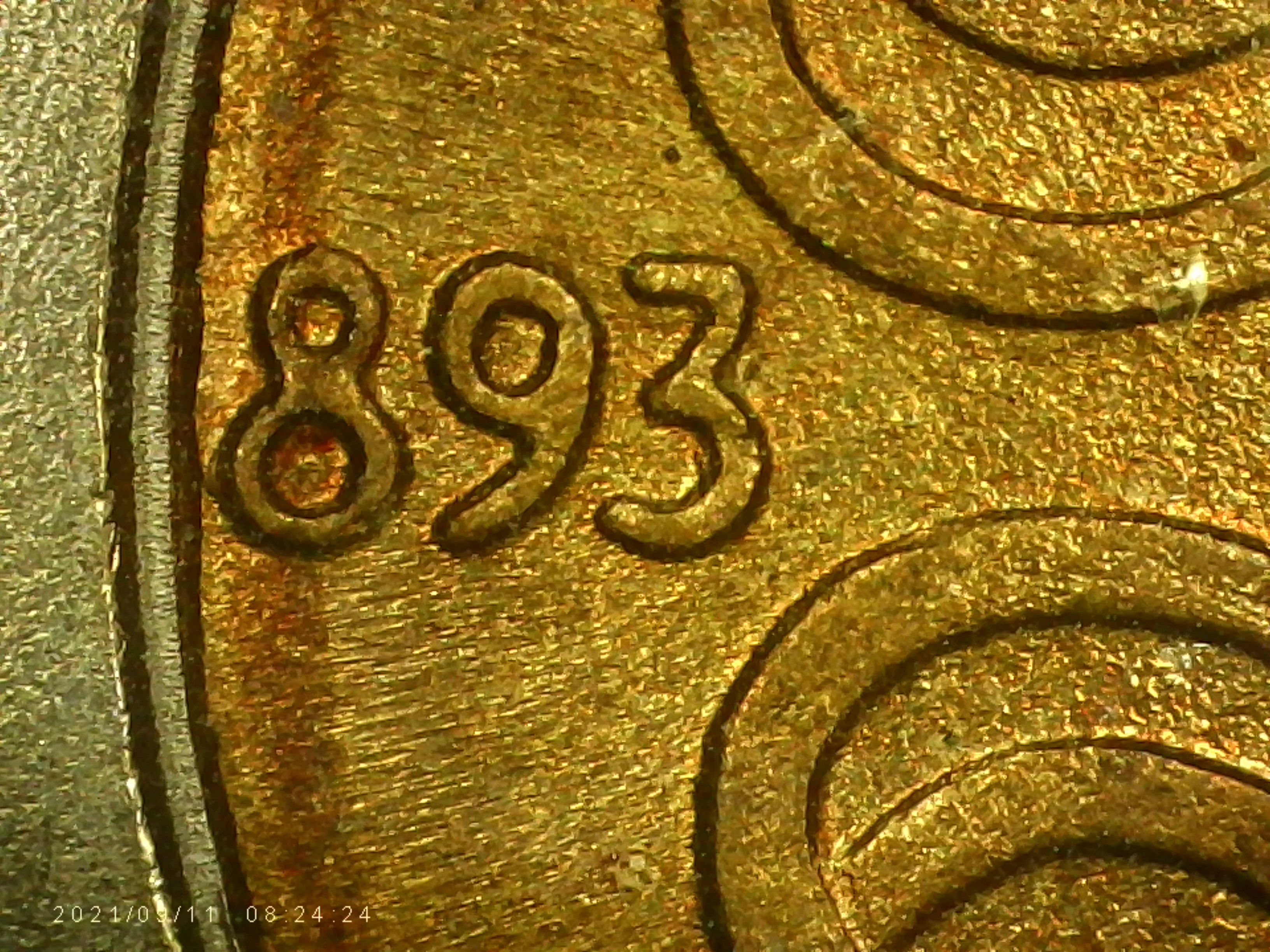 sena coins