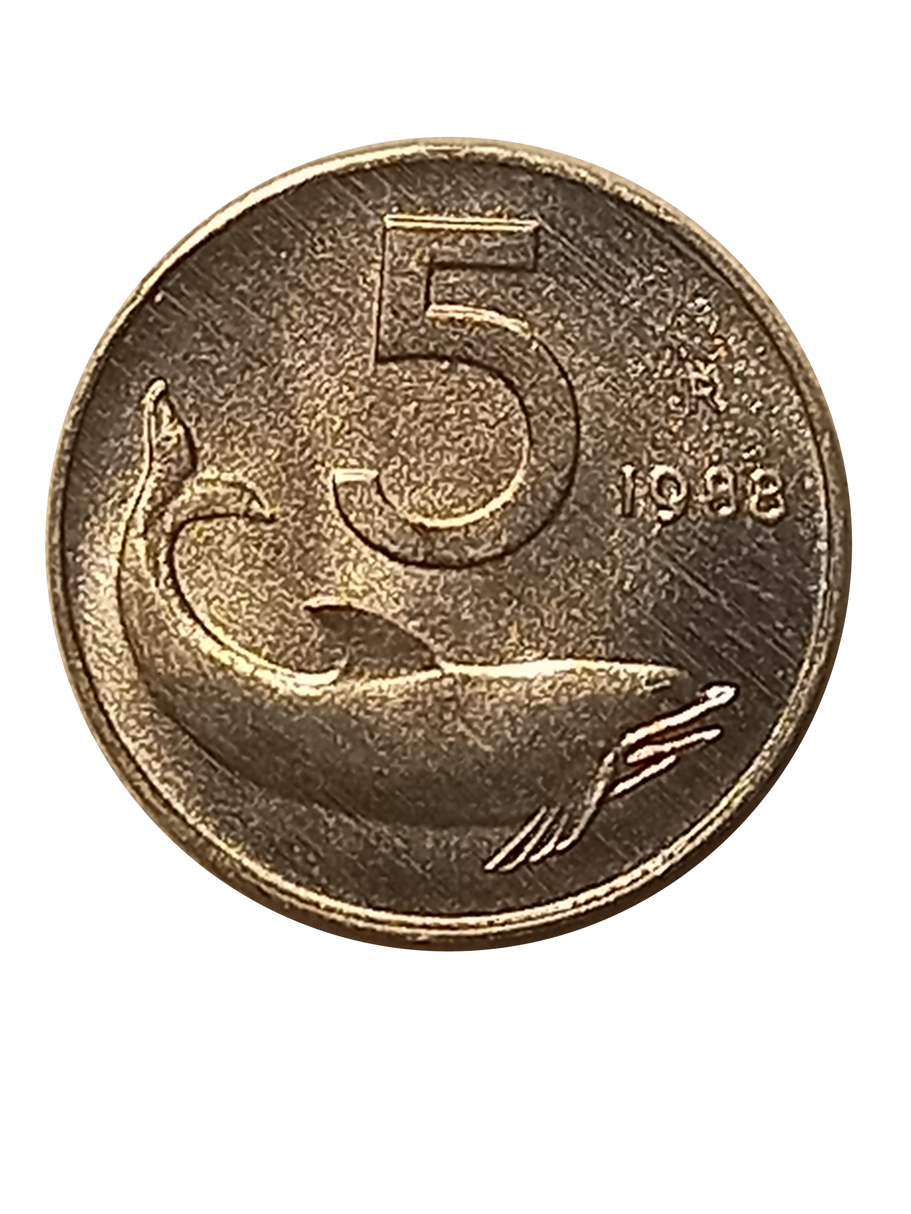 sena coins