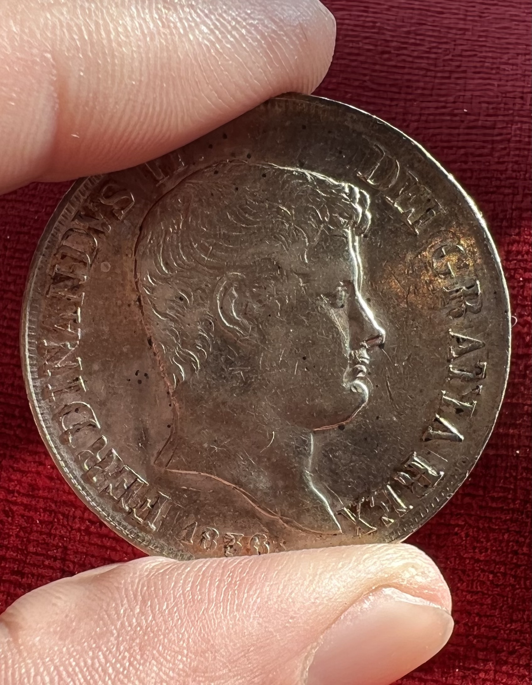sena coins