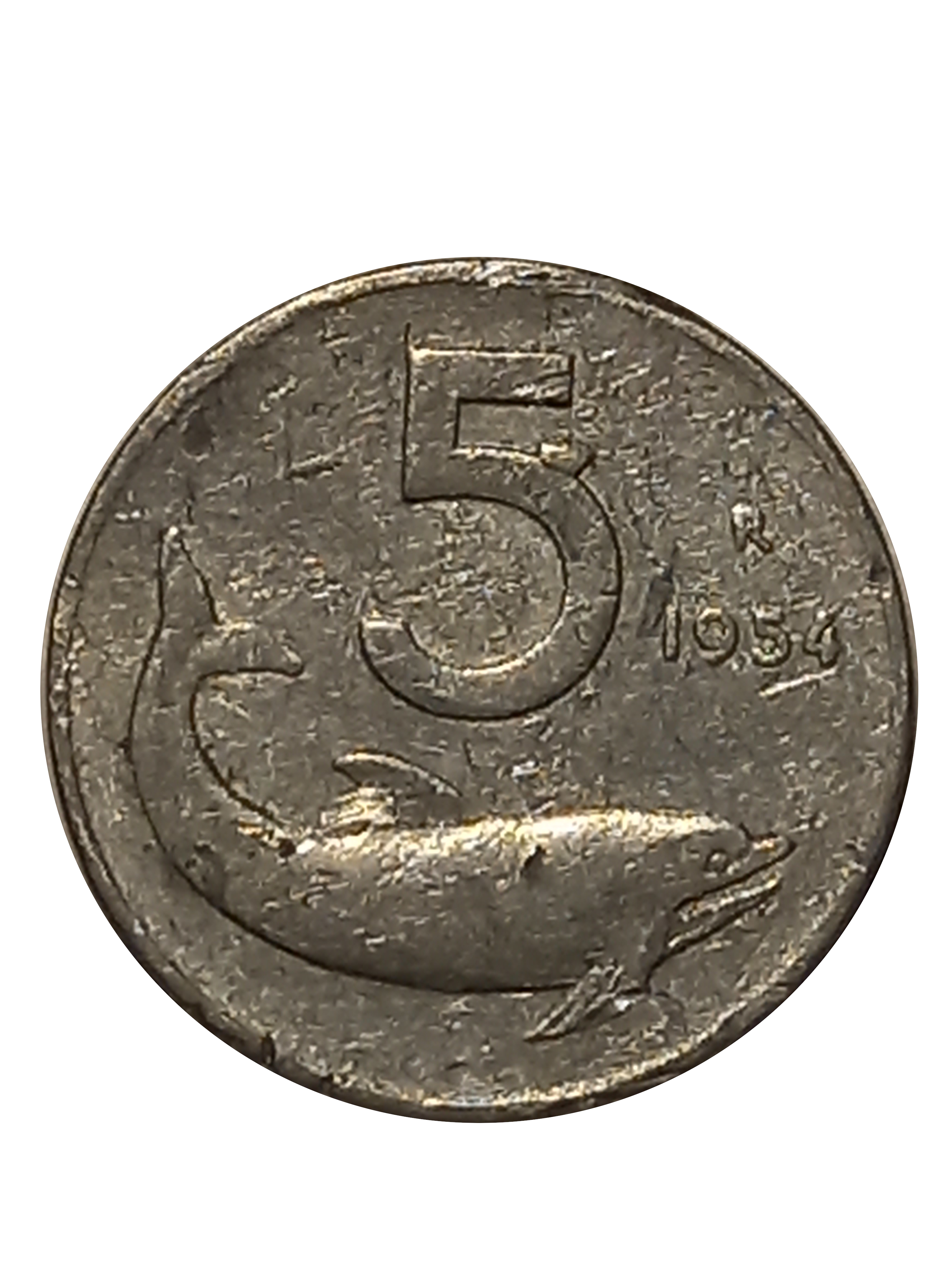 sena coins