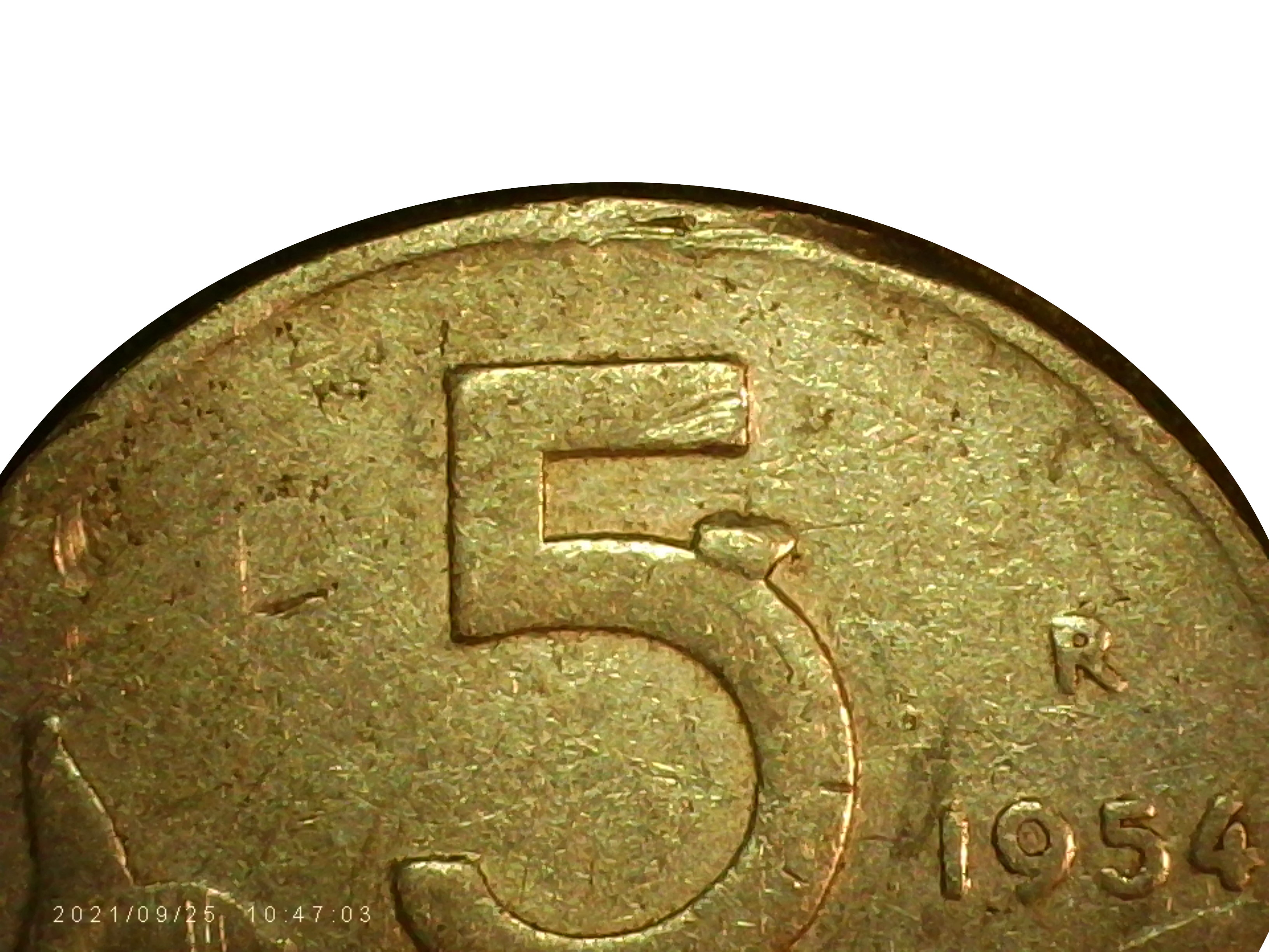 sena coins