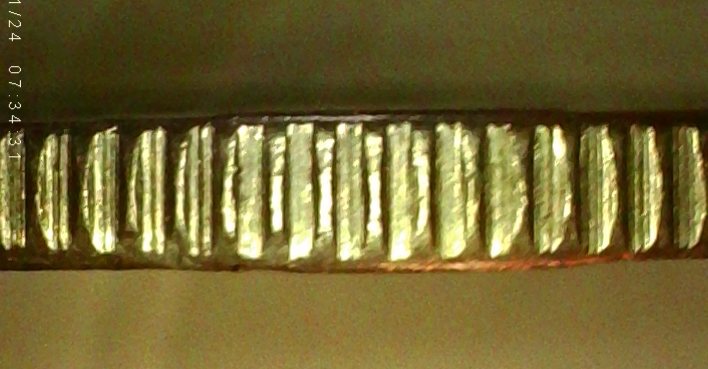 sena coins