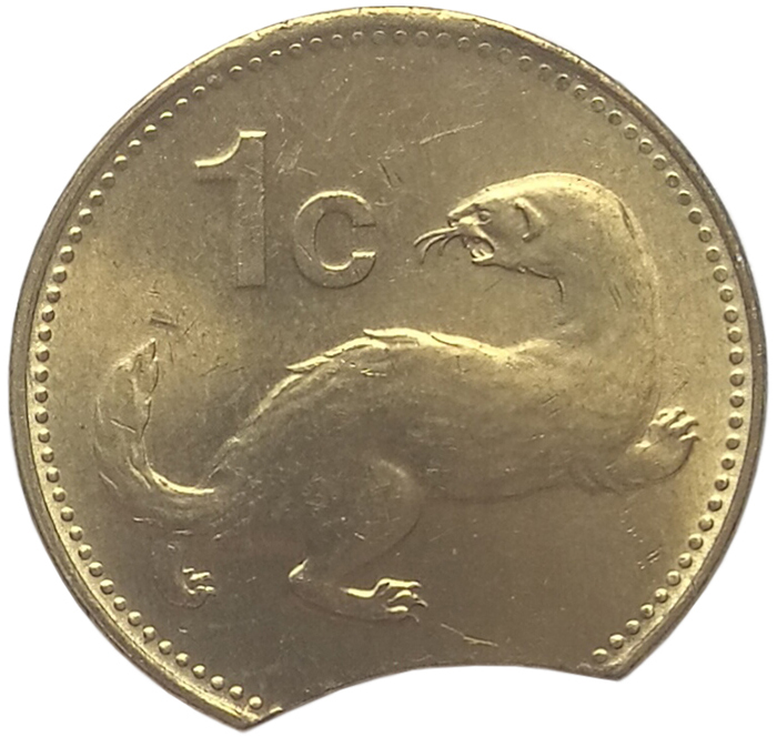 sena coins