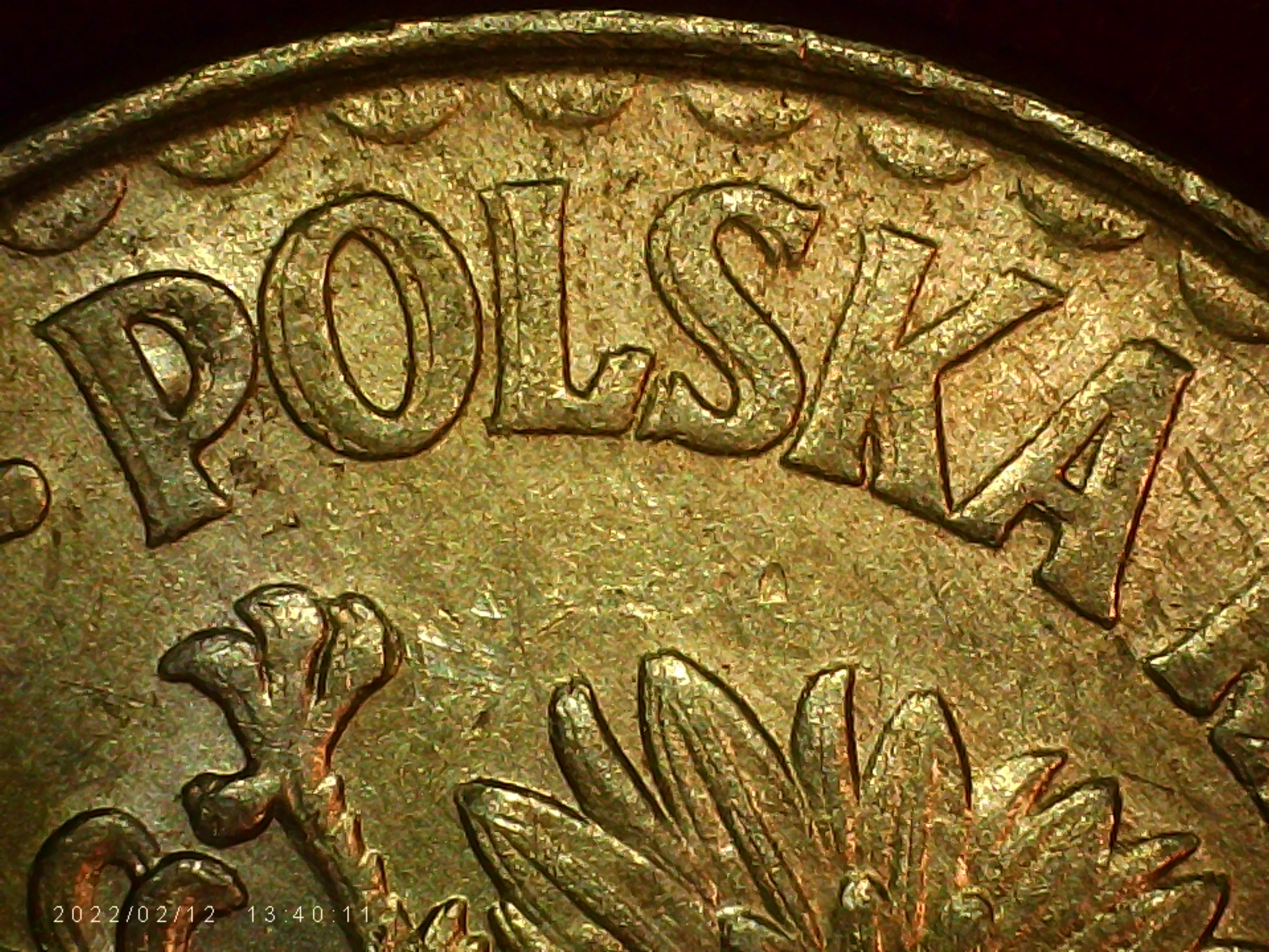 sena coins
