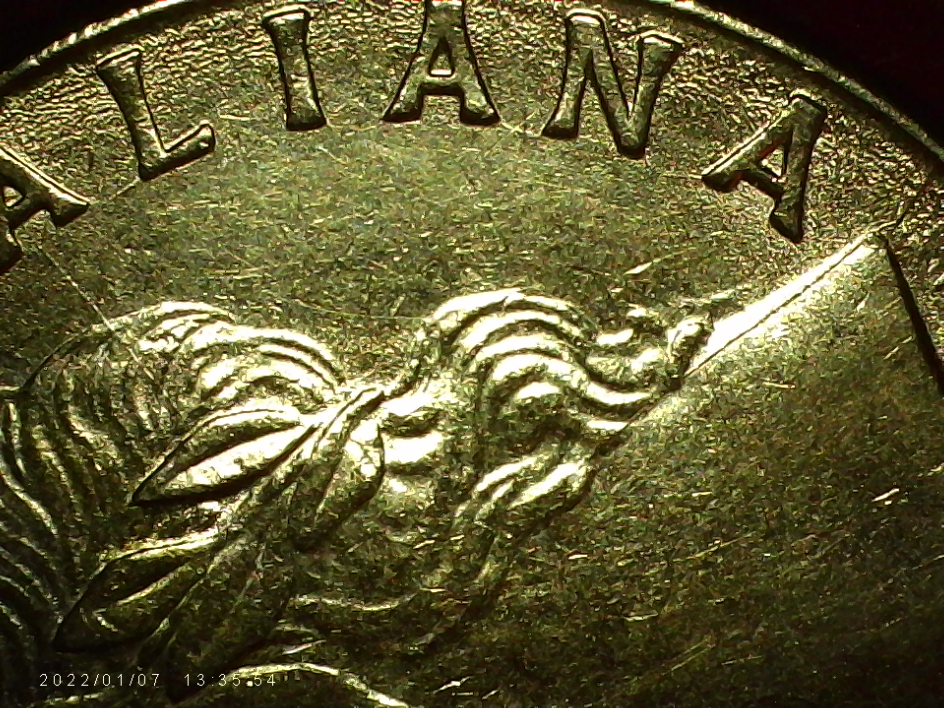 sena coins