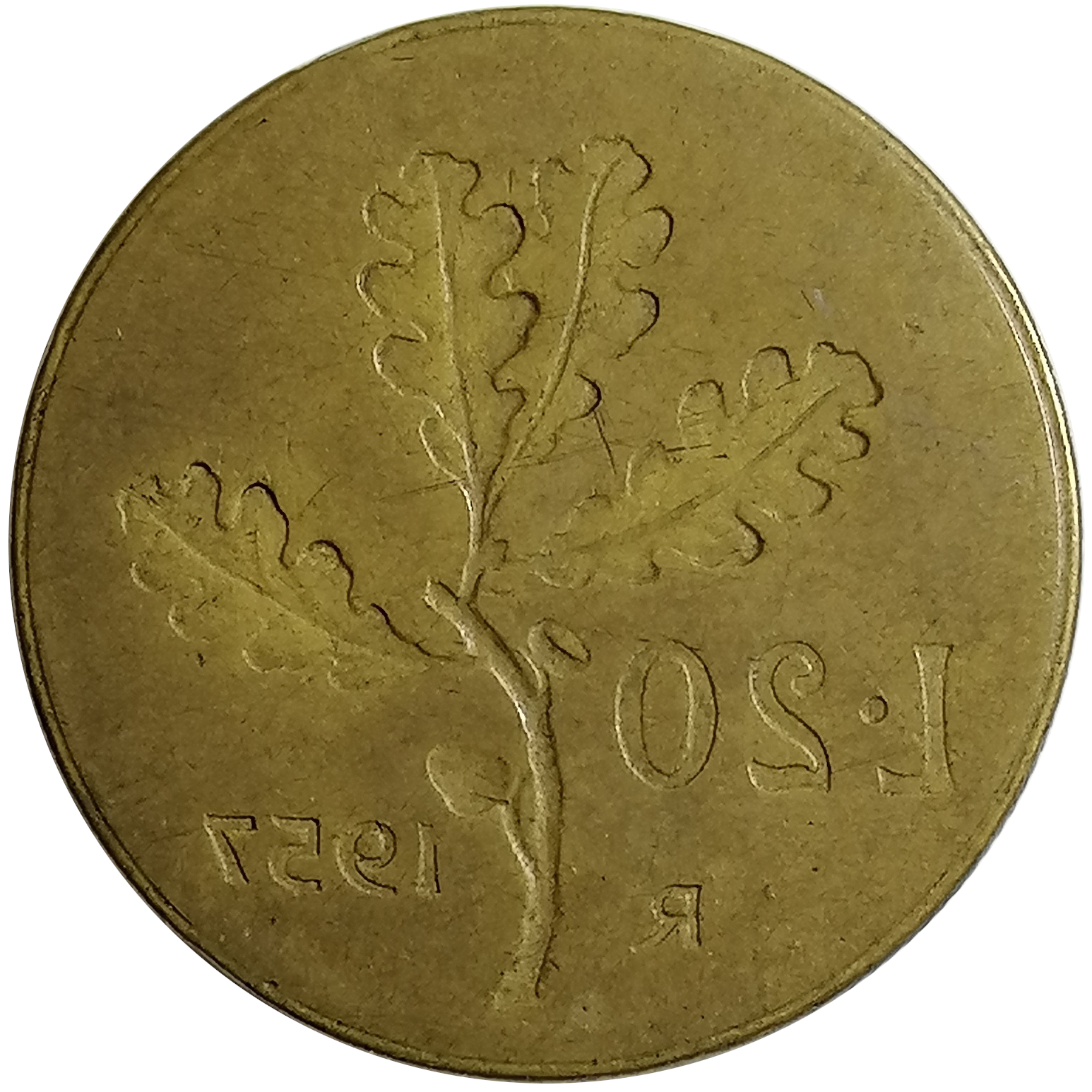 sena coins