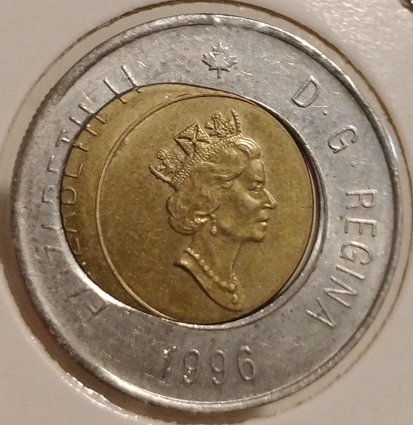 sena coins