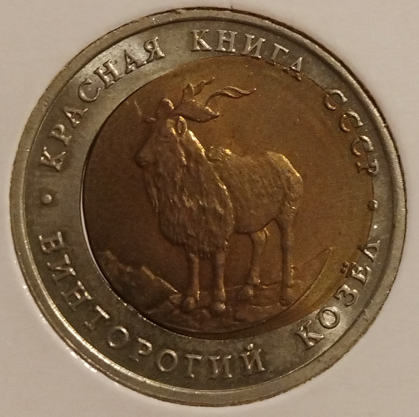 sena coins