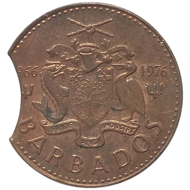 sena coins