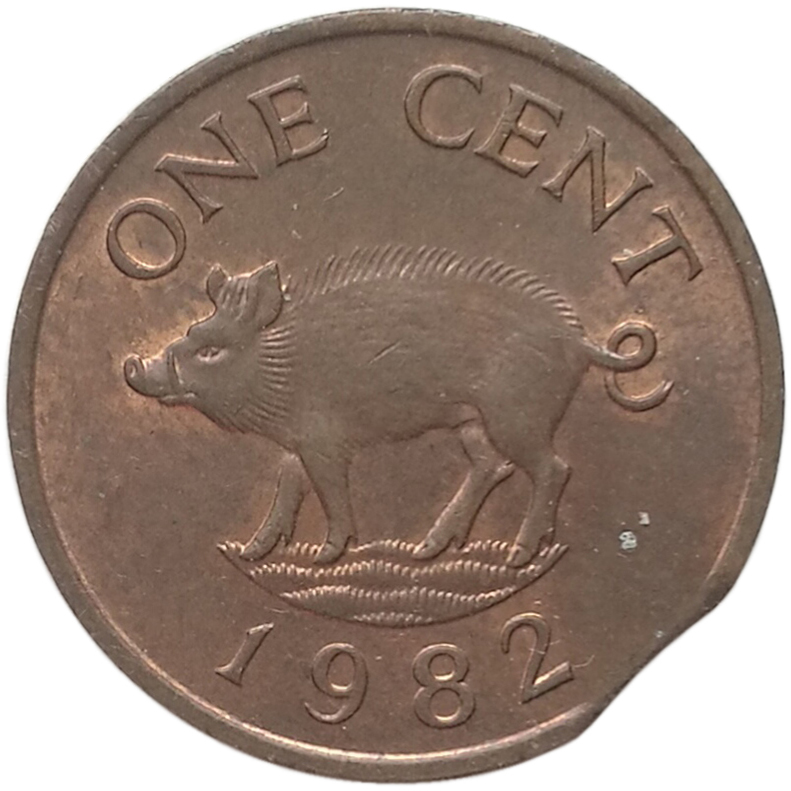 sena coins