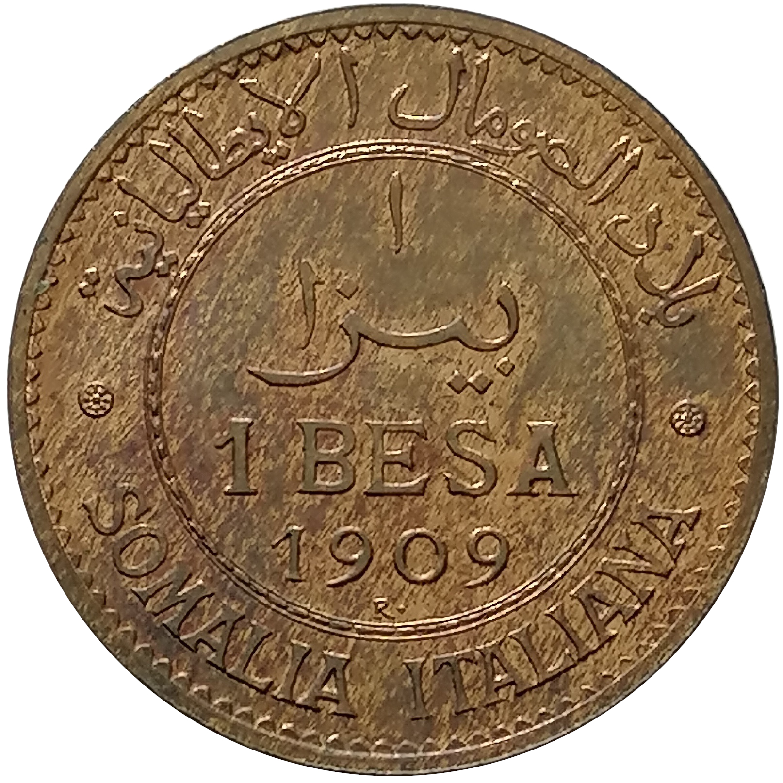 sena coins