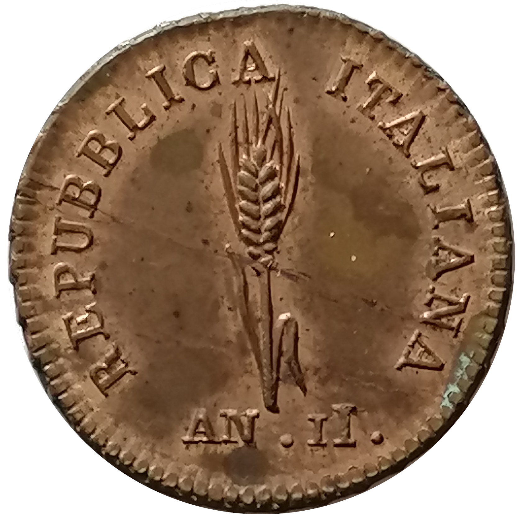 sena coins
