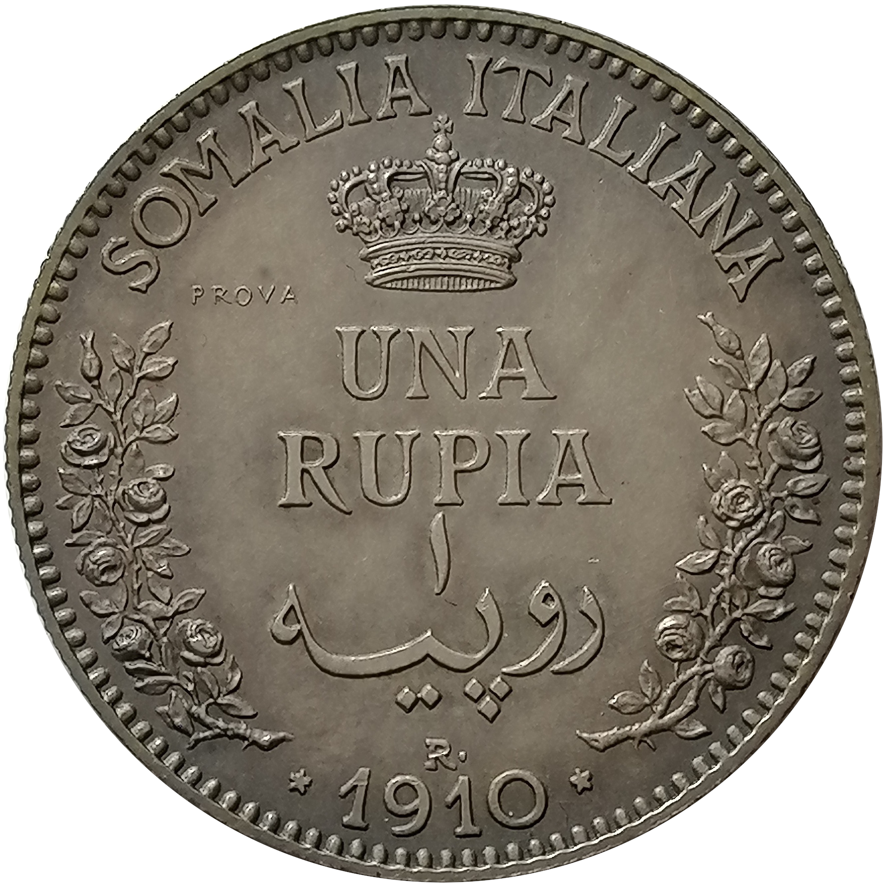 sena coins