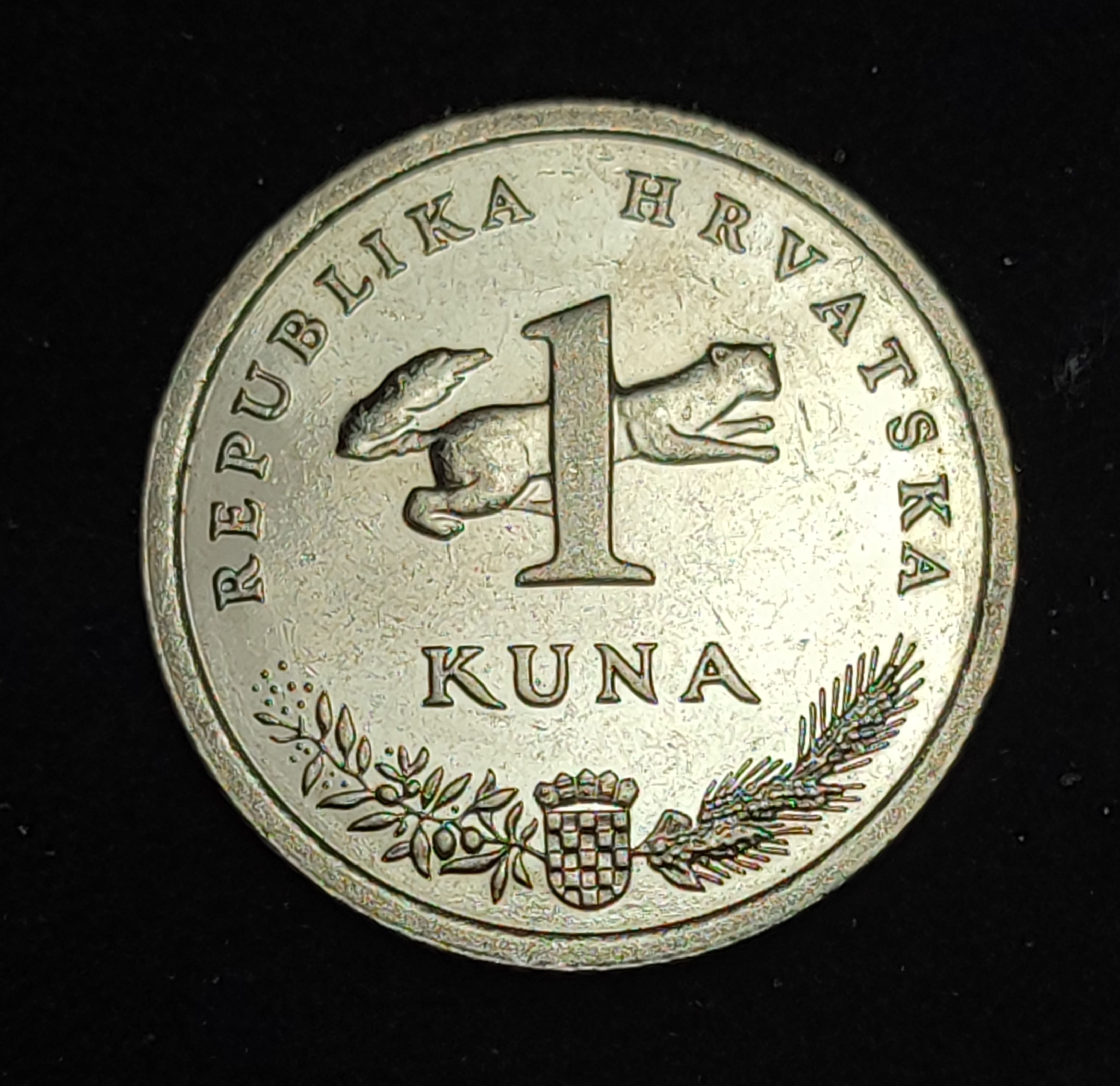 sena coins