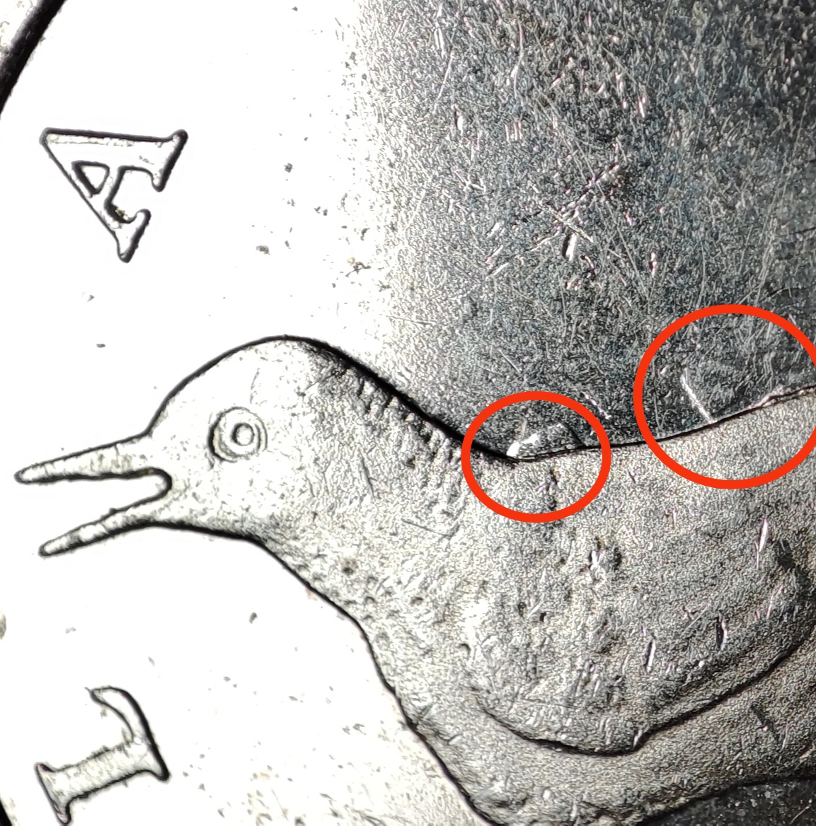 sena coins