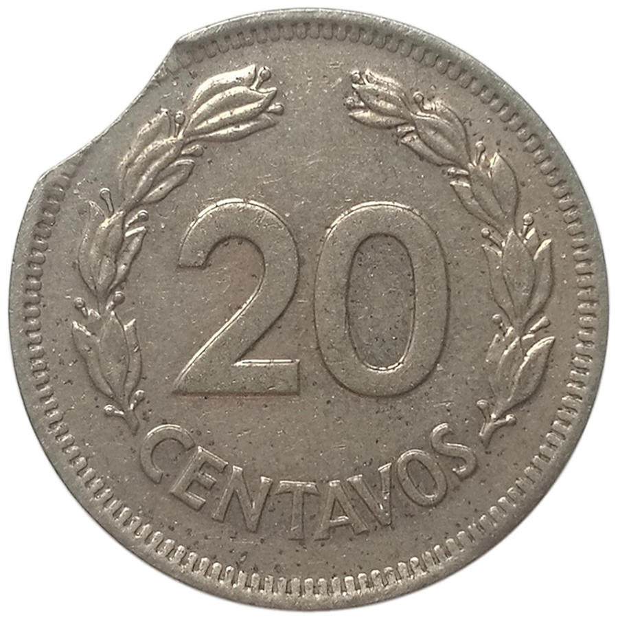 sena coins