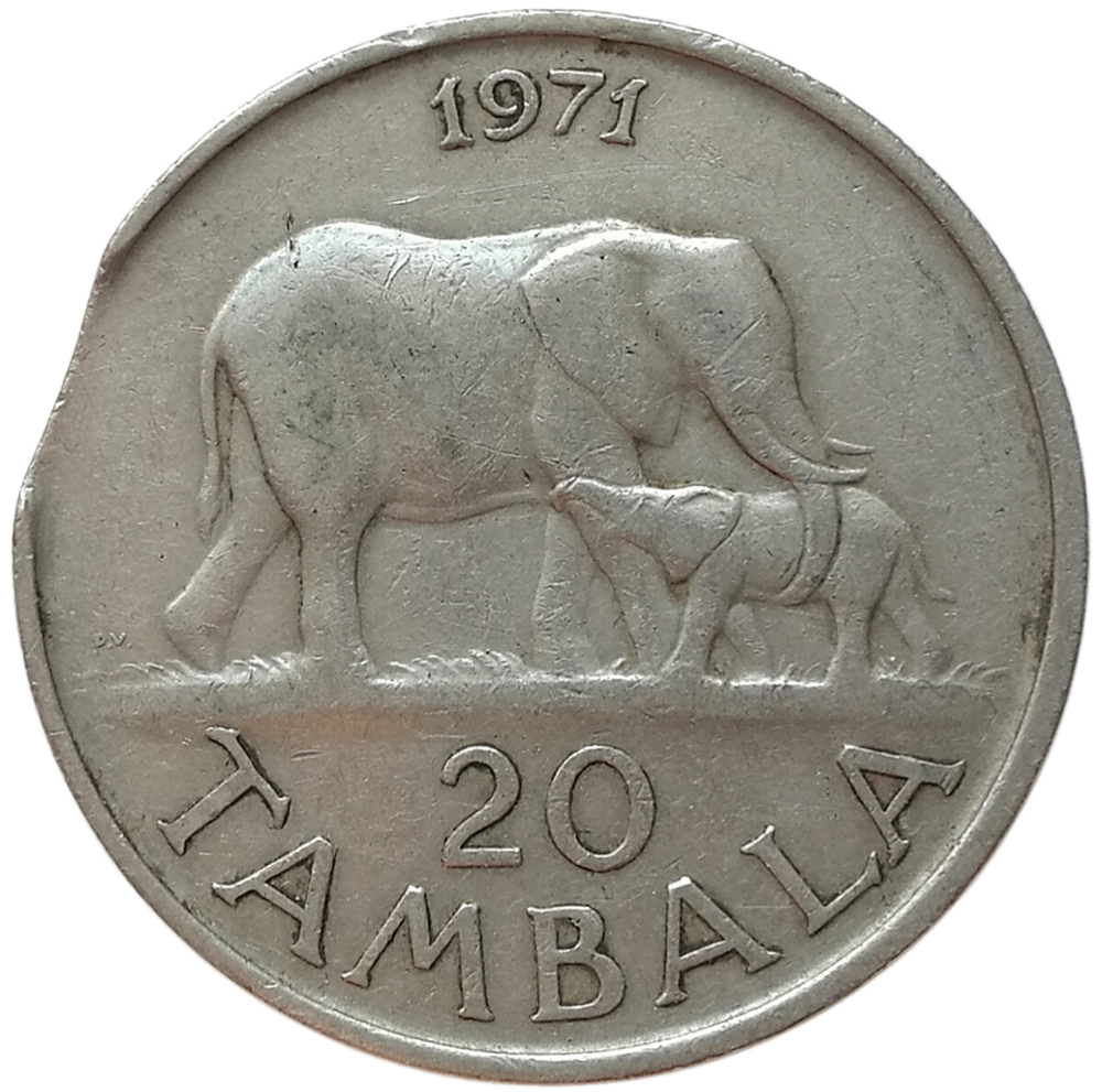 sena coins
