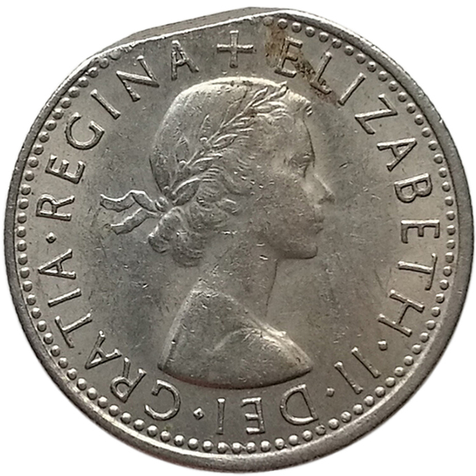 sena coins