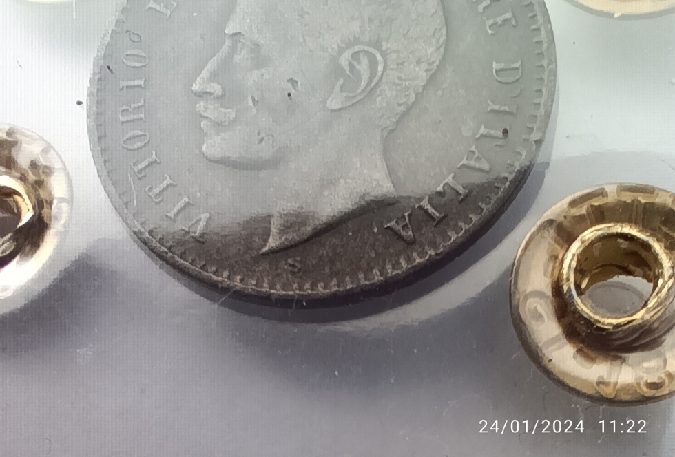 sena coins
